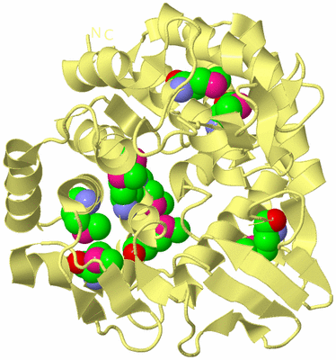 Image Biological Unit 4