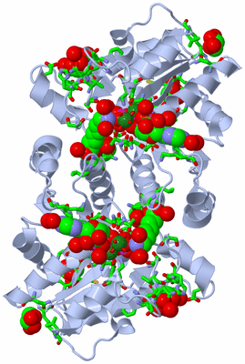 Image Biol. Unit 1 - sites