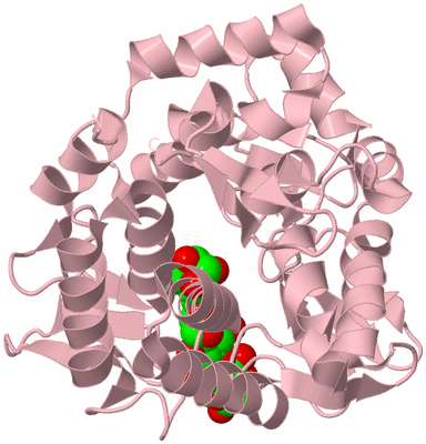 Image Biological Unit 3