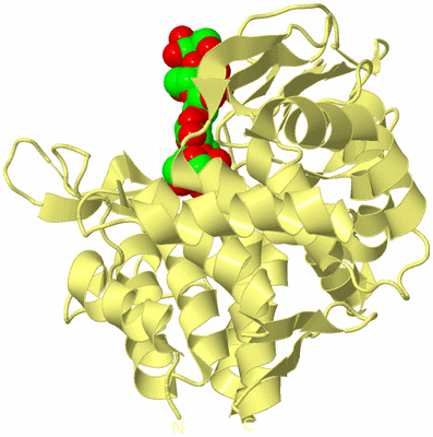 Image Biological Unit 4