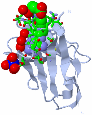 Image Biol. Unit 1 - sites