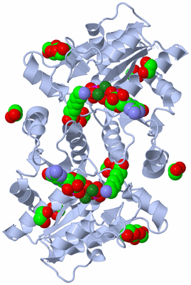 Image Biological Unit 1