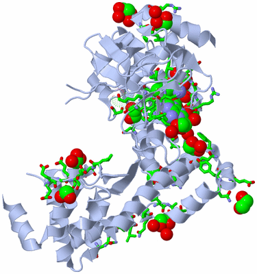 Image Biol. Unit 1 - sites