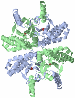 Image Biological Unit 1