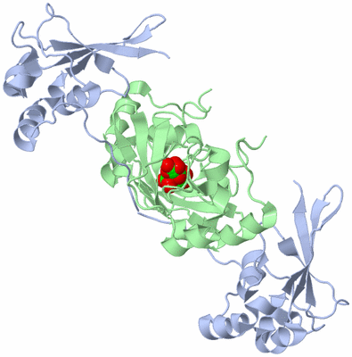 Image Biological Unit 3