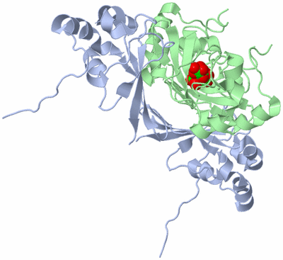 Image Biological Unit 4