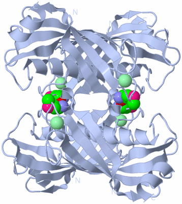 Image Biological Unit 1