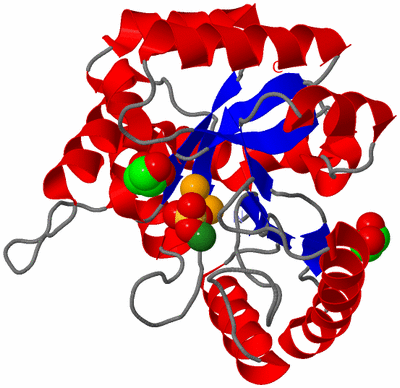 Image Asym./Biol. Unit