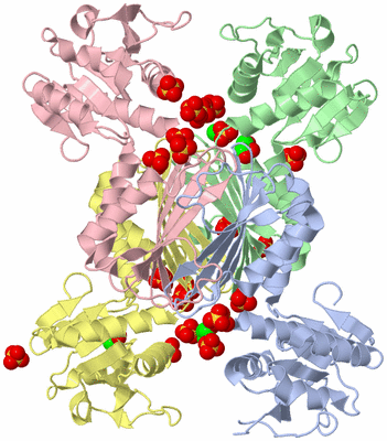 Image Asym./Biol. Unit