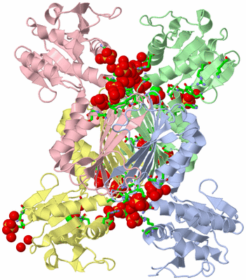 Image Asym./Biol. Unit - sites