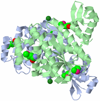 Image Asym./Biol. Unit