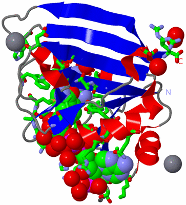 Image Asym./Biol. Unit - sites