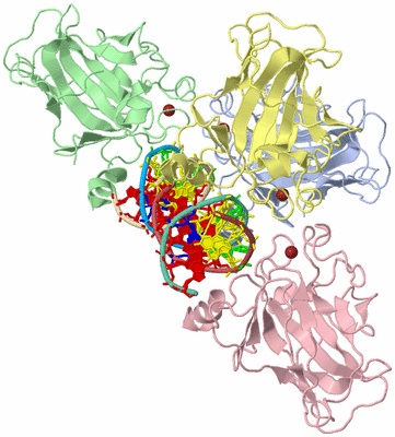 Image Biological Unit 1