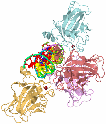 Image Biological Unit 2