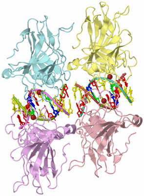 Image Biological Unit 3