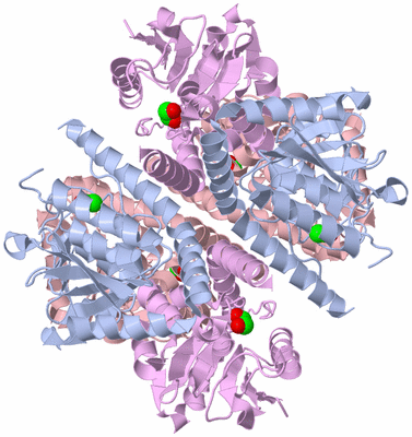 Image Biological Unit 1