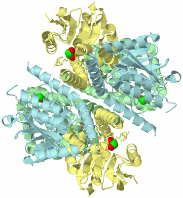 Image Biological Unit 2