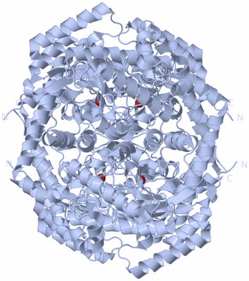 Image Biological Unit 1