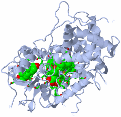 Image Biol. Unit 1 - sites