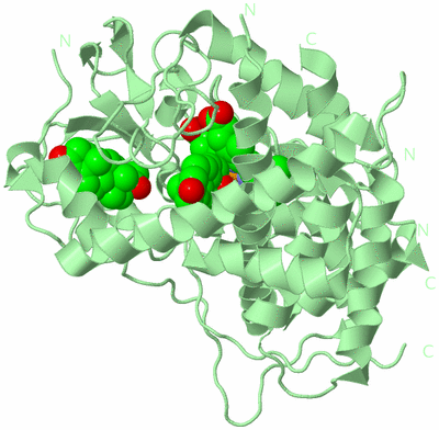 Image Biological Unit 2