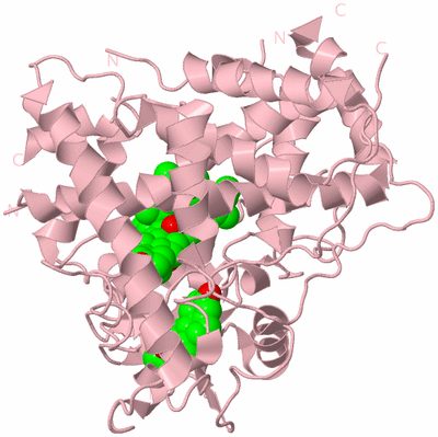 Image Biological Unit 3