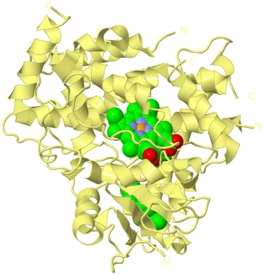 Image Biological Unit 4