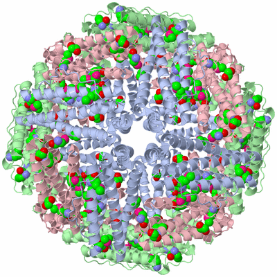 Image Biological Unit 1