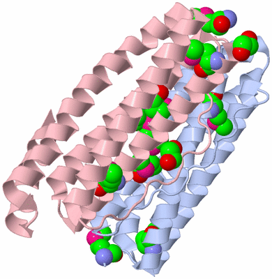 Image Biological Unit 2