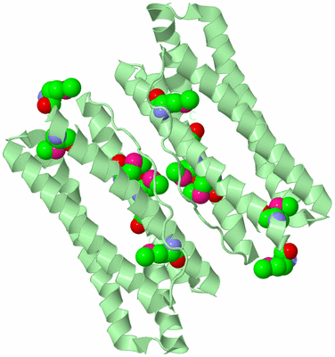 Image Biological Unit 3