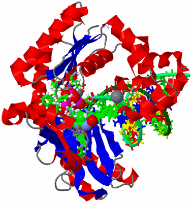 Image Asym./Biol. Unit - sites