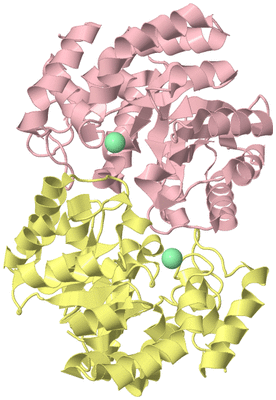 Image Biological Unit 2