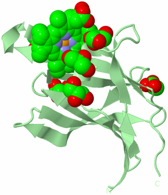 Image Biological Unit 2