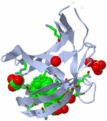 Image Biol. Unit 1 - sites