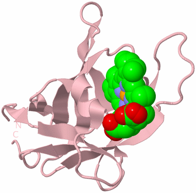 Image Biological Unit 3