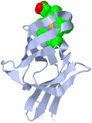 Image Biological Unit 1