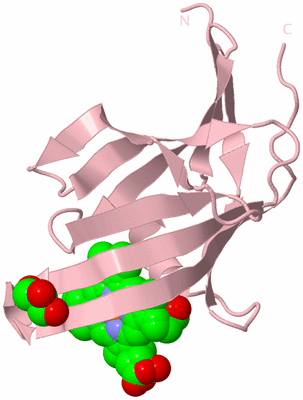 Image Biological Unit 3