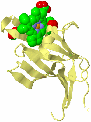 Image Biological Unit 4