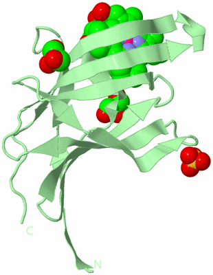 Image Biological Unit 2