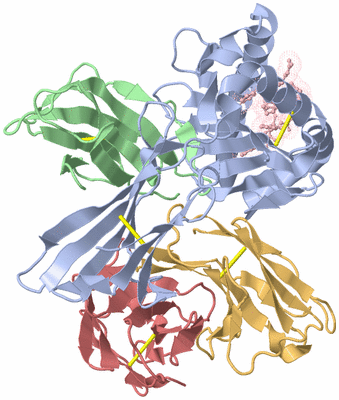 Image Biological Unit 1