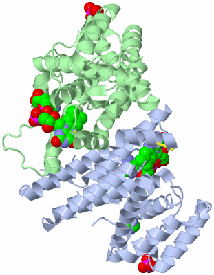 Image Asym./Biol. Unit