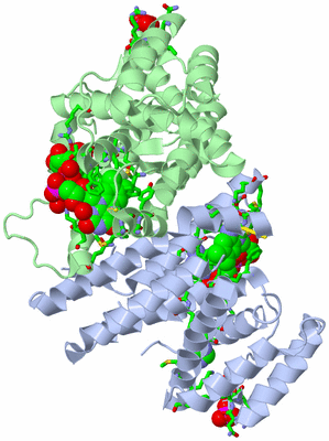 Image Asym./Biol. Unit - sites