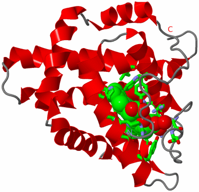 Image Asym. Unit - sites