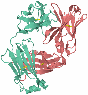 Image Biological Unit 4