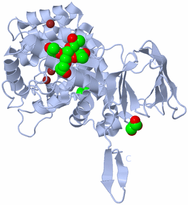 Image Biological Unit 1