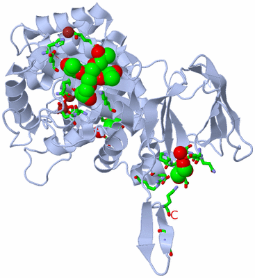 Image Biol. Unit 1 - sites