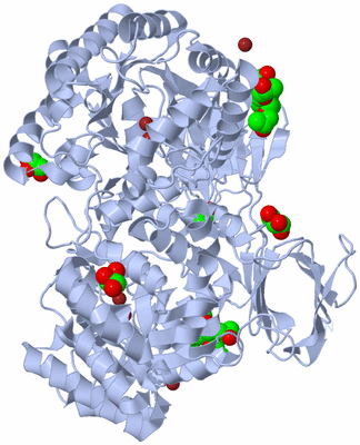 Image Biological Unit 2