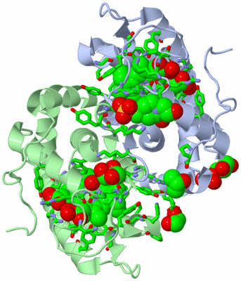 Image Asym./Biol. Unit - sites