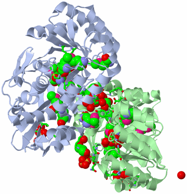 Image Asym./Biol. Unit - sites