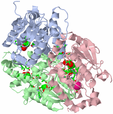 Image Asym./Biol. Unit - sites