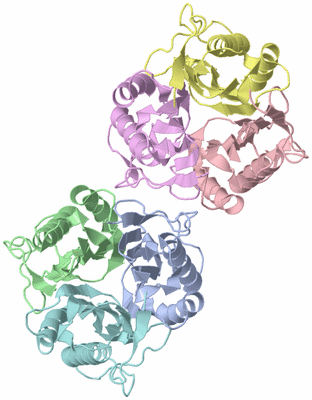 Image Biological Unit 3